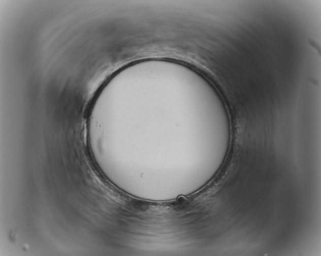 X0000103441509200809261742