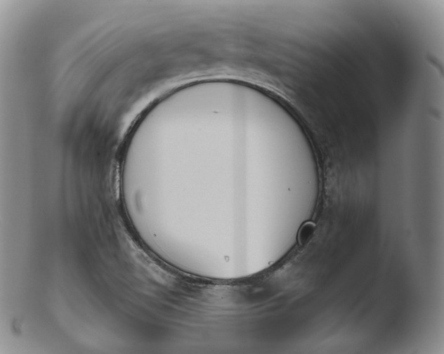 X0000103441510200809261742