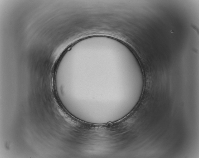 X0000103441511200809261742