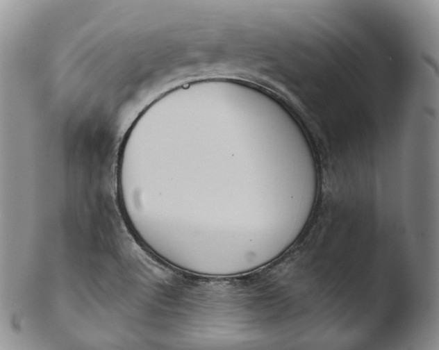 X0000103441512200809261742