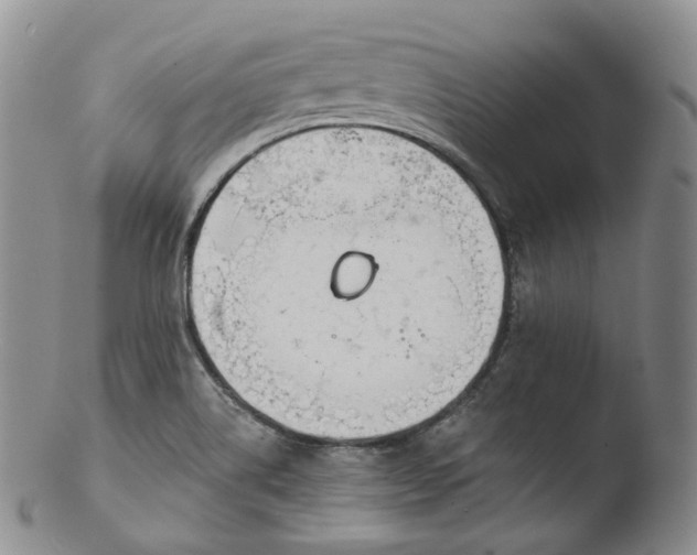 X0000103441514200809261742