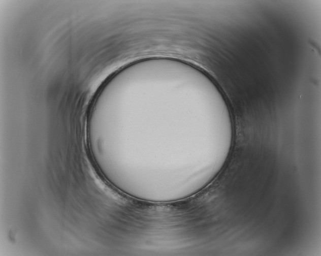 X0000103441515200809261742