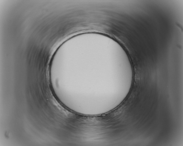 X0000103441516200809261742