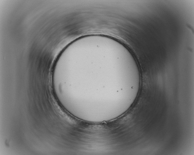 X0000103441517200809261742