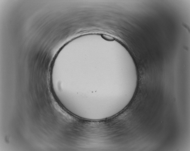 X0000103441518200809261742