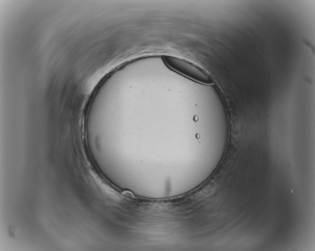 X0000103441519200809261742