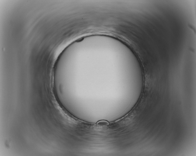 X0000103441520200809261742