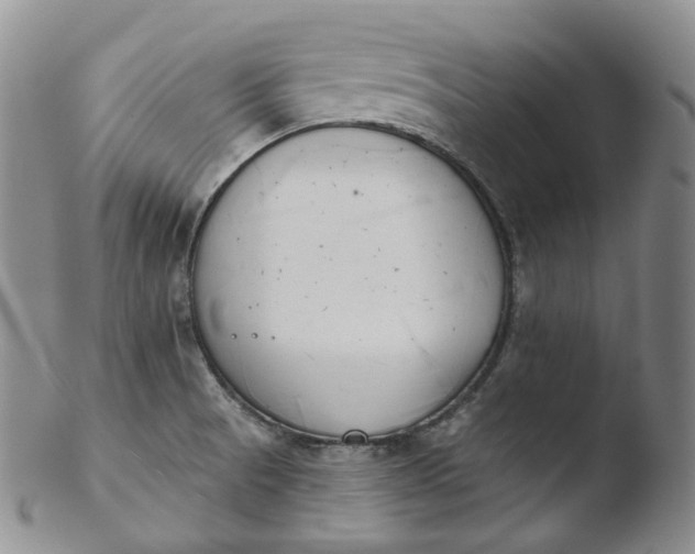 X0000103441521200809261742