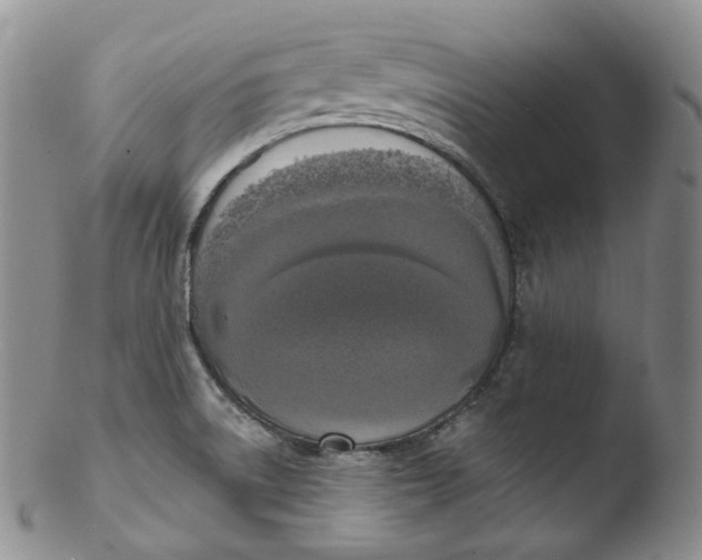 X0000103441522200809261742