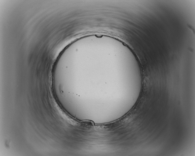 X0000103441523200809261742
