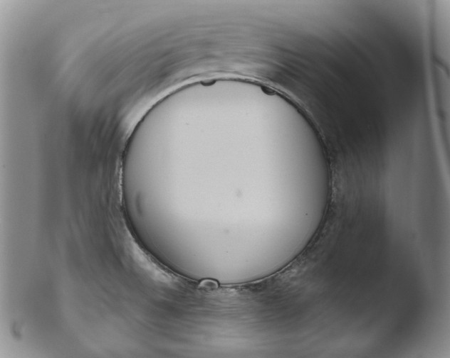 X0000103441524200809261742