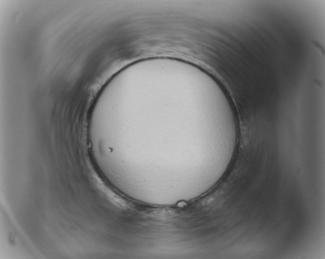 X0000103441525200809261742