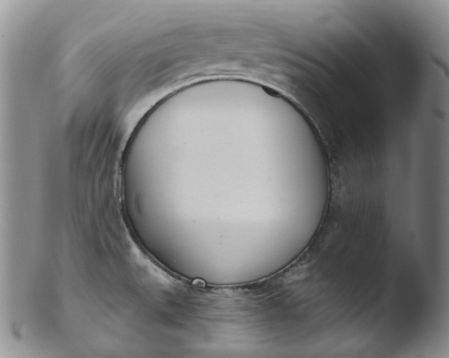 X0000103441527200809261743