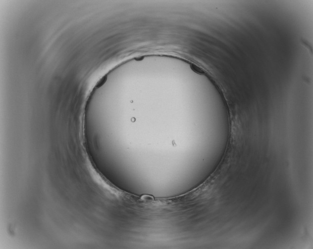 X0000103441528200809261743