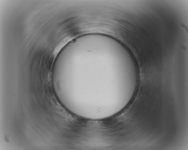 X0000103441529200809261743