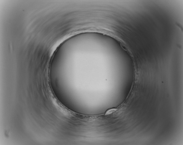 X0000103441530200809261743