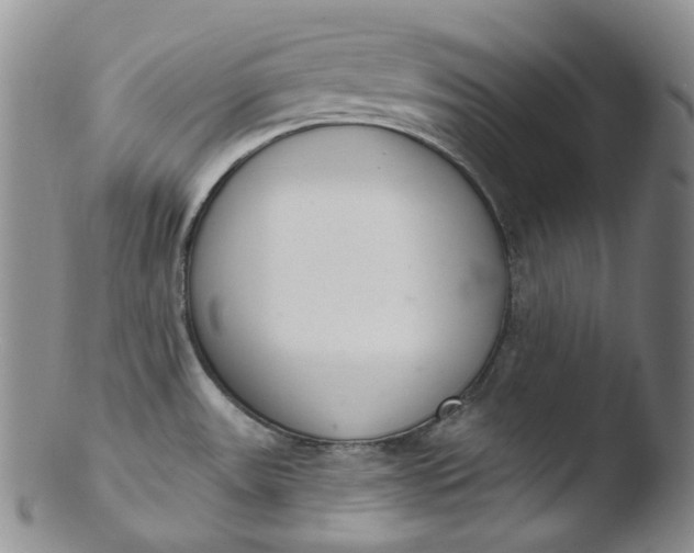 X0000103441531200809261743