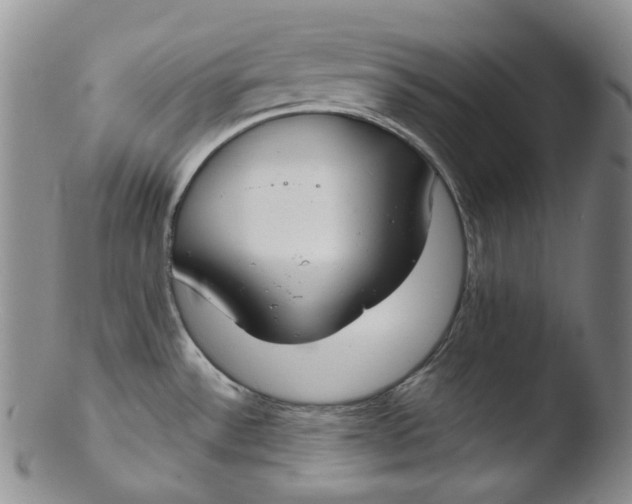 X0000103441532200809261743