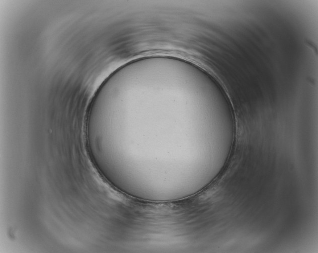 X0000103441533200809261743