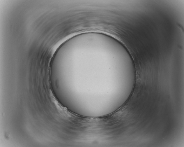 X0000103441534200809261743