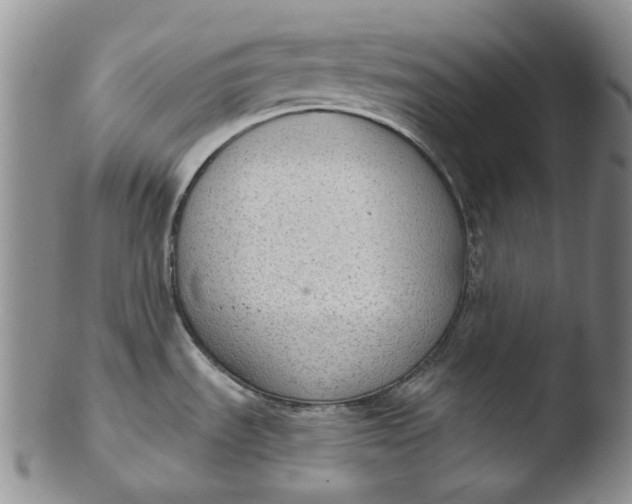 X0000103441535200809261743
