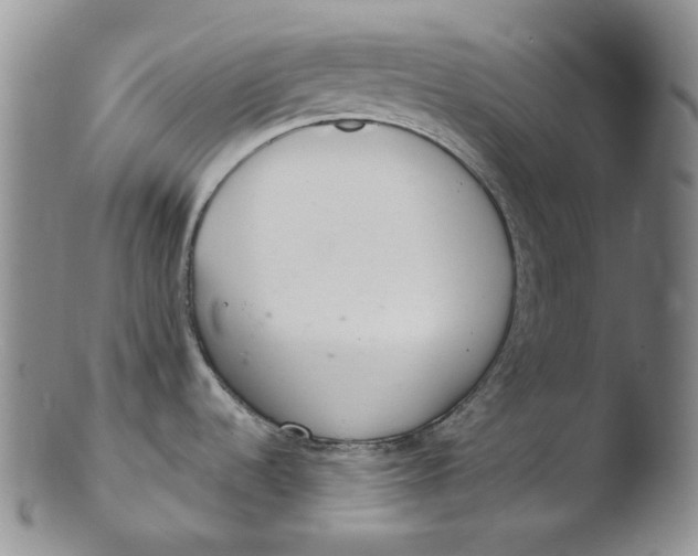 X0000103441536200809261743