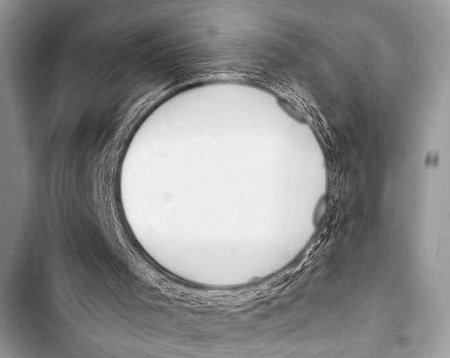 X0000103440001200810031424