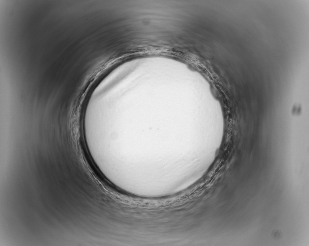 X0000103440002200810031424