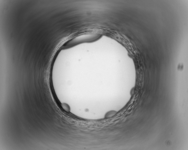 X0000103440003200810031424