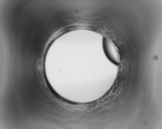 X0000103440004200810031424