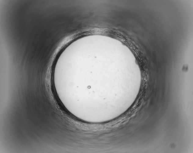 X0000103440006200810031424