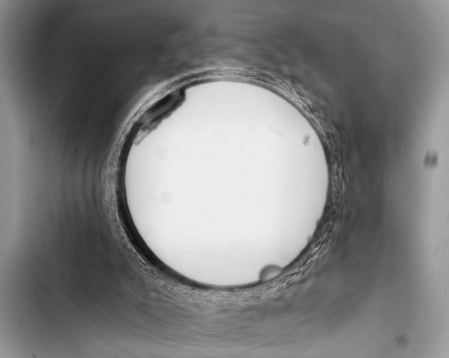 X0000103440007200810031424