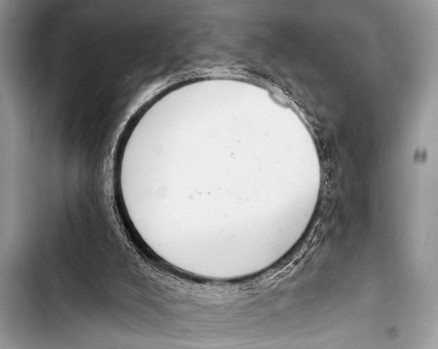 X0000103440008200810031424