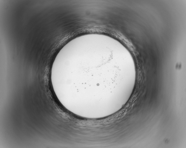 X0000103440009200810031424