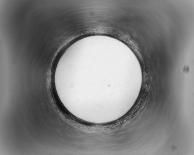 X0000103440012200810031423