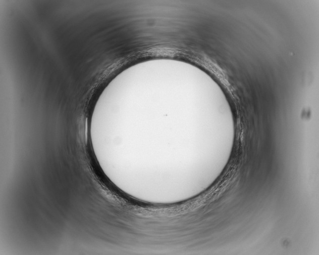 X0000103440013200810031423