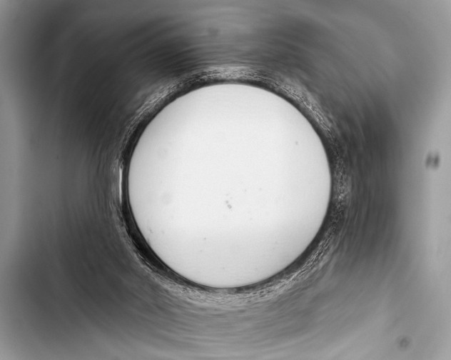 X0000103440014200810031423