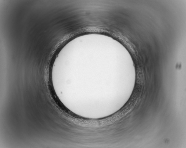 X0000103440015200810031423