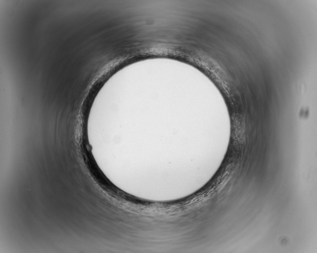 X0000103440016200810031423
