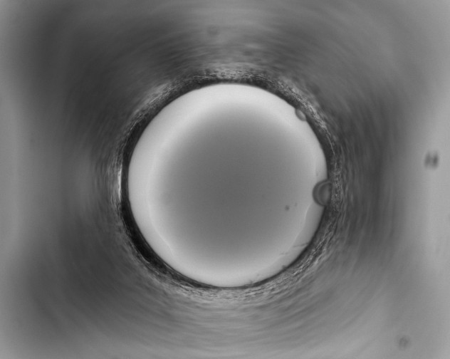 X0000103440019200810031423