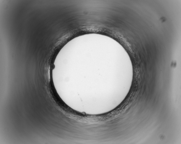 X0000103440020200810031423