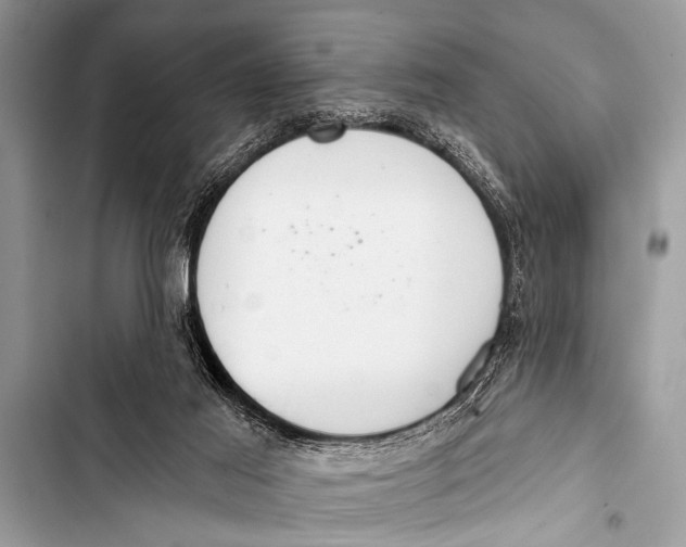 X0000103440021200810031423
