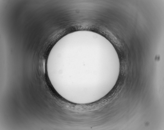 X0000103440022200810031423