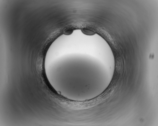 X0000103440023200810031423