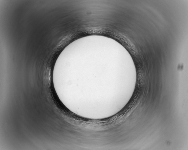 X0000103440024200810031423