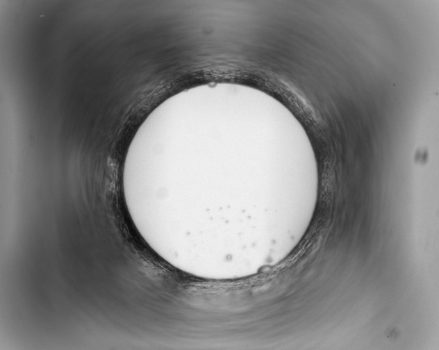 X0000103440025200810031423