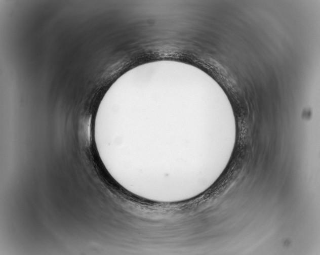 X0000103440028200810031423