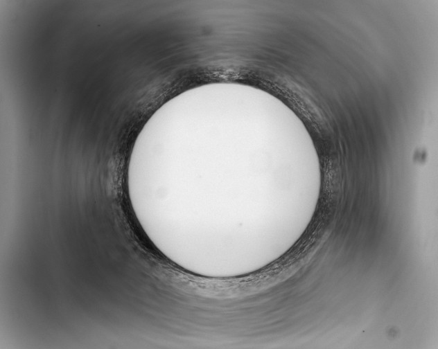 X0000103440030200810031423