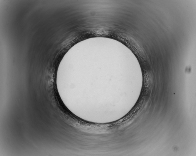 X0000103440032200810031423