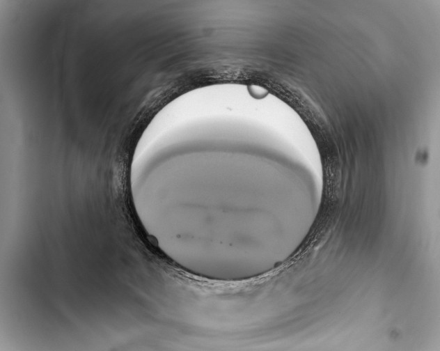 X0000103440035200810031423